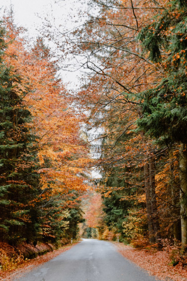 Herbstlaub im Böhmerwald