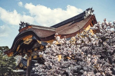 Kyoto Highlights