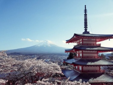 Fuji Pagoda