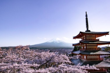 Fuji Pagoda