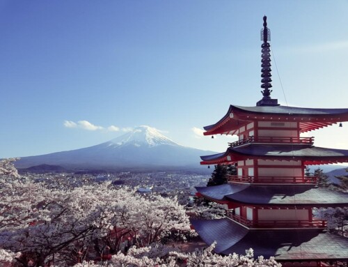 Tokyo für Einsteiger «oder: Unsere Highlights in der Mega-Metropole »