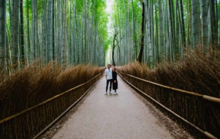 Kyoto Bambus Wald