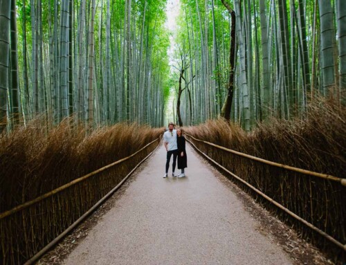 Kyoto Highlights «oder: Wollen wir nicht länger bleiben?»