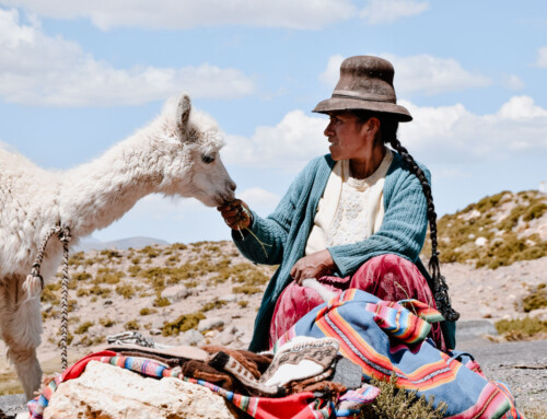 Drei Wochen Peru «oder: Vom Amazonas zum Rainbowmountain»