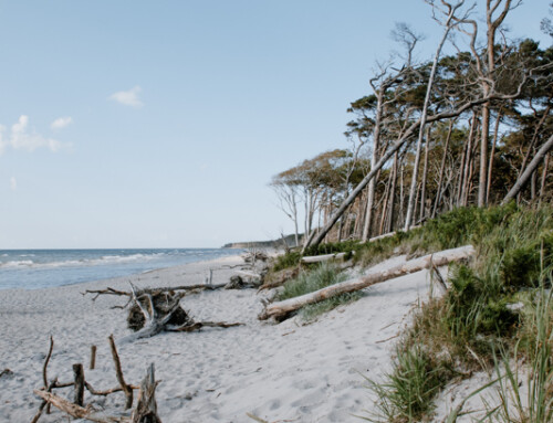 Familienurlaub auf Fischland-Darß-Zingst  «oder: Idylle an der Ostsee»