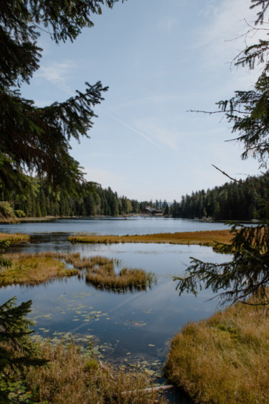 Großer Arbersee im Bayerischen Wald