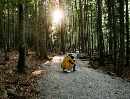 Familienurlaub im Bayerischen Wald  «oder: Das Gute liegt ganz oft so nah»